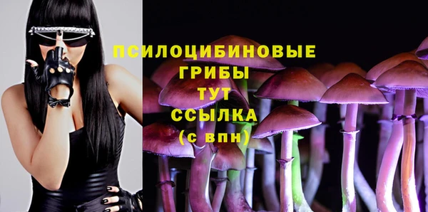 apvp Балахна