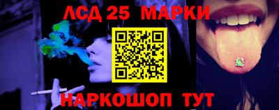спиды Бердск