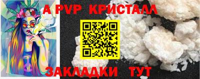 спиды Бердск