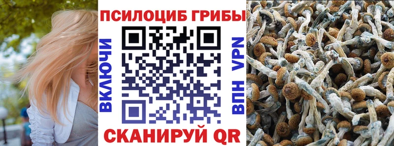 Псилоцибиновые грибы мицелий Белая Калитва