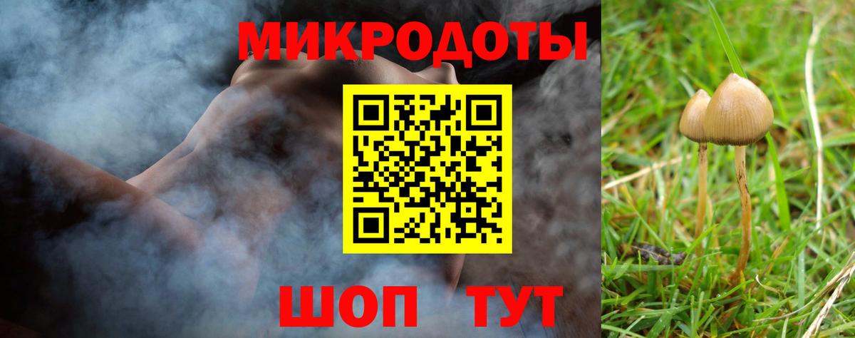 Псилоцибиновые грибы Cubensis Белая Калитва